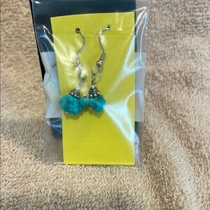 Turquoise Dangle Earrings